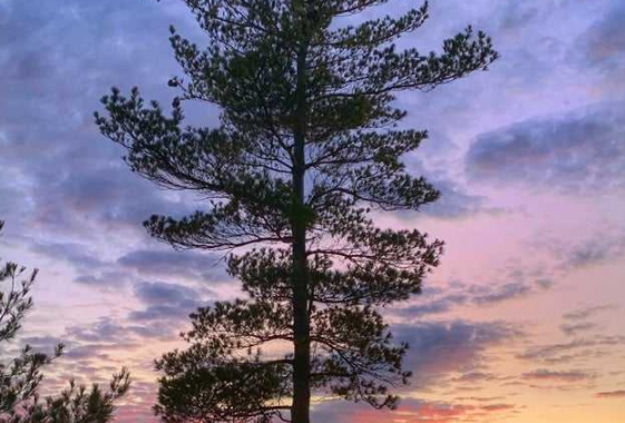 重慶智能家居加盟：相比傳統(tǒng)家居，智能家居的優(yōu)勢(shì)是什么？