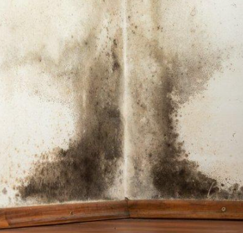 江南（蘇州）梅雨季節(jié)，家具霉斑處理小技巧，建議收藏哦！