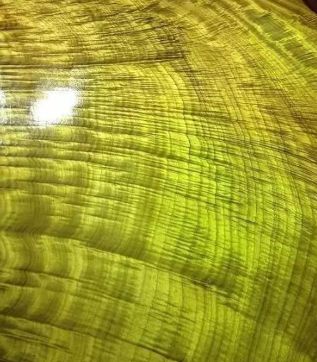 金絲楠烏木：如何區(qū)別金絲楠、黃心楠、黃金樟