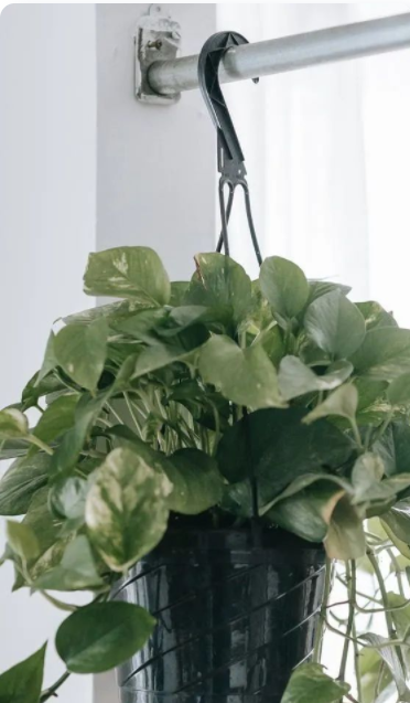 室內(nèi)設(shè)計(jì)專業(yè)培訓(xùn);消費(fèi)者對(duì)環(huán)保健康室內(nèi)設(shè)計(jì)、家具擺設(shè)和裝飾的需求，已成一股推動(dòng)力