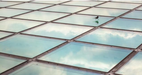 鋁扣板吊頂好還是玻璃吊頂好？