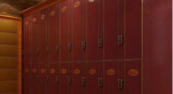 浴室全塑更衣柜：浴室更衣柜有什么材質(zhì)？浴室更衣柜電子感應(yīng)鎖好不好？