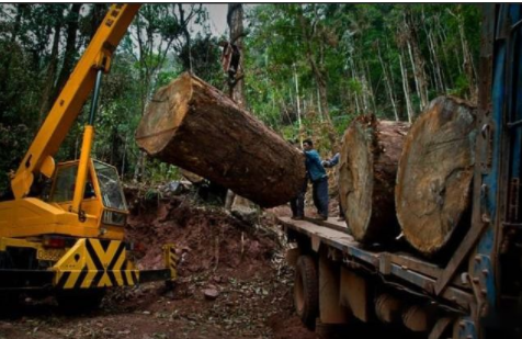 【新中式家具定制】中式家具選購、陳設、保養(yǎng)全攻略！